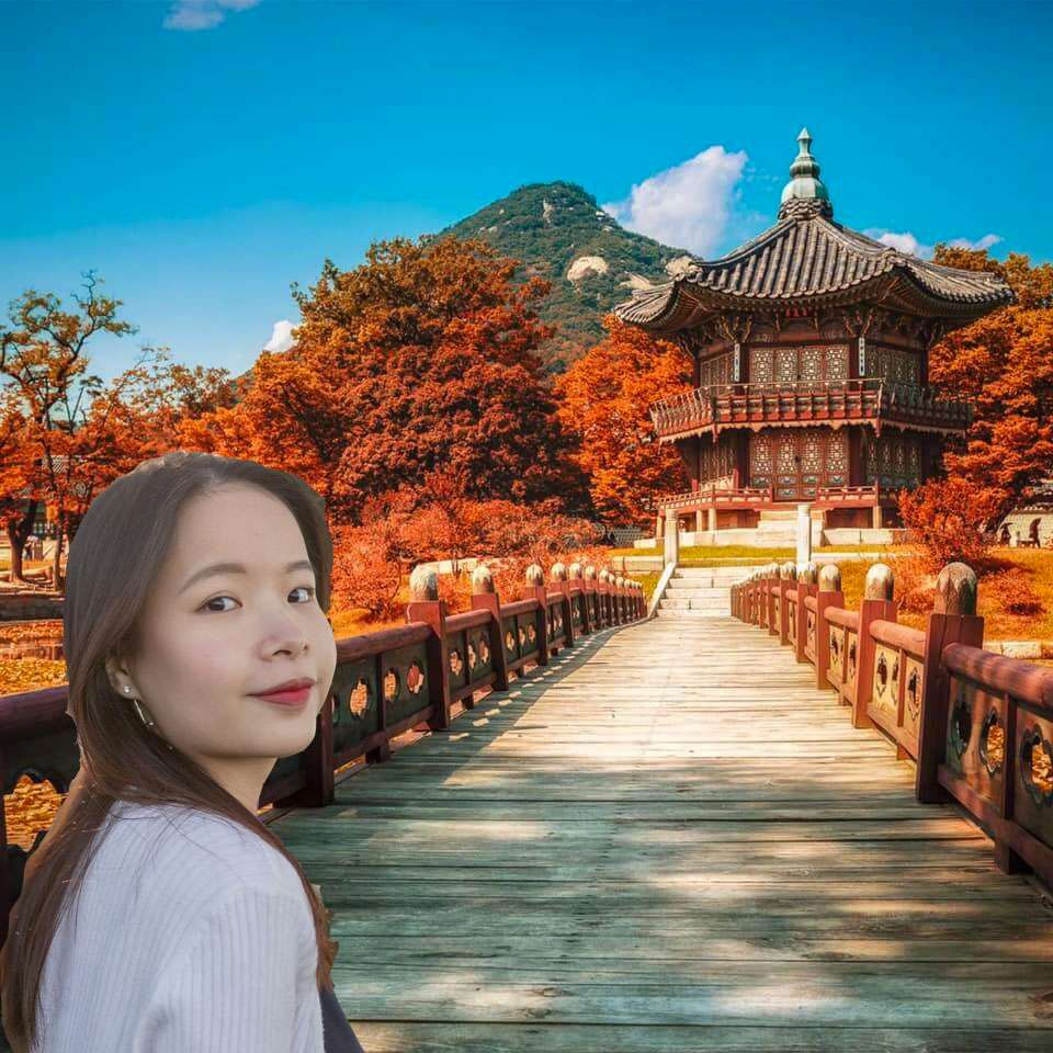 Lost in Korea 