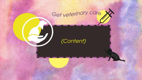 Layout Template