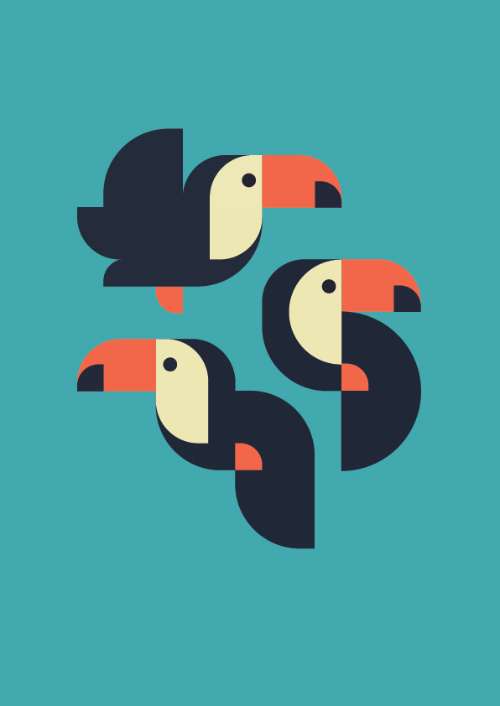 Parrot