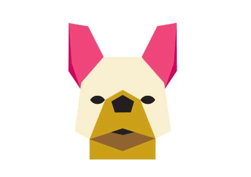 flat ilustration