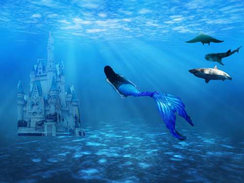 Mermaid on the way home