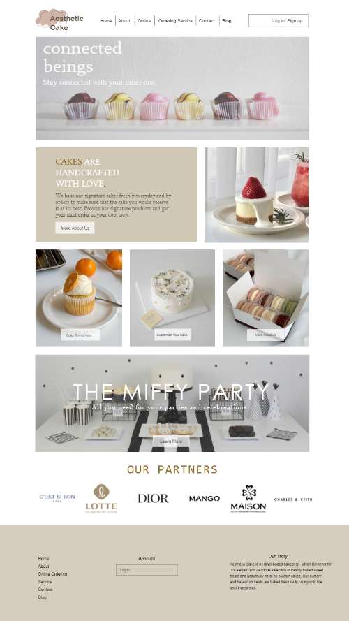 web Design 