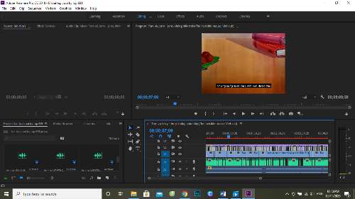 Bài tập cuối kỳ - Review Tom and Jerry (Can't see)
