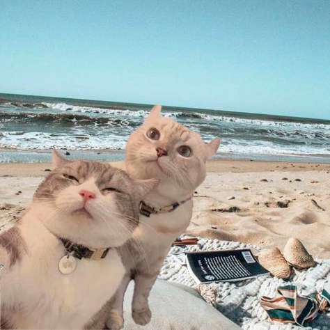 Cắt ghép ảnh - Selfie on the beach.