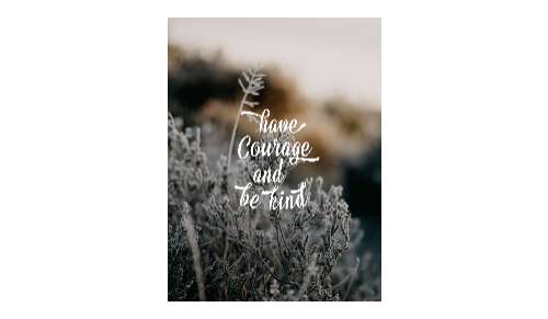 Typography