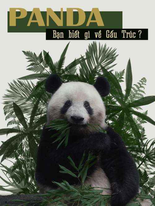 BT Buổi 2 - Clipping Mask