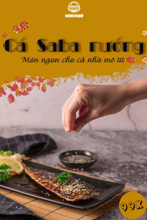 bai 6