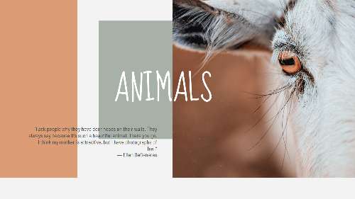 ANIMALS