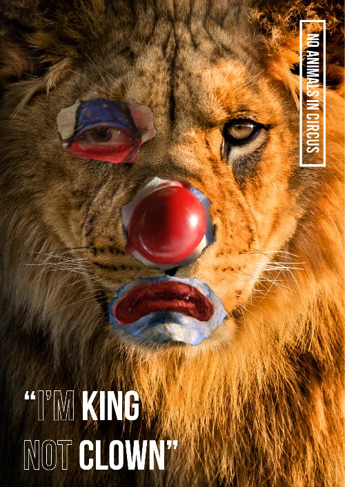 animals