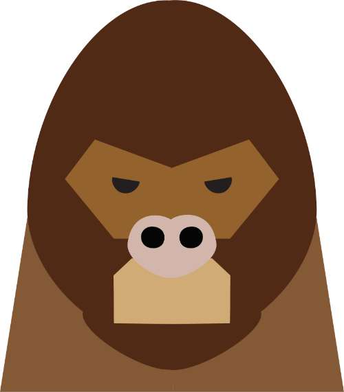 APE