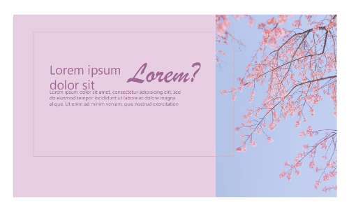 Slide 1 