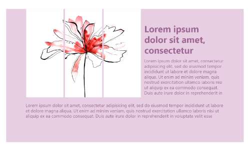 Slide 6