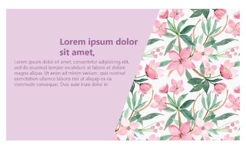 Slide7