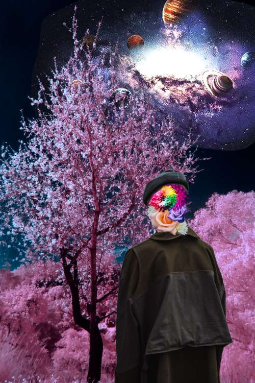 BTVN 3 - Collage  Art 