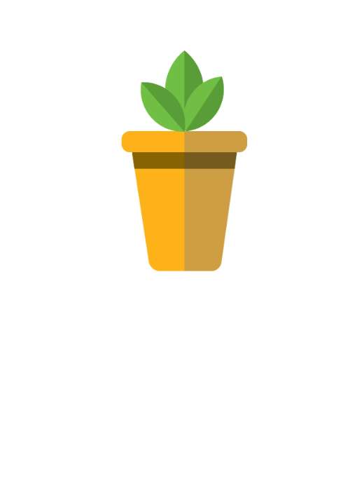Little Tree