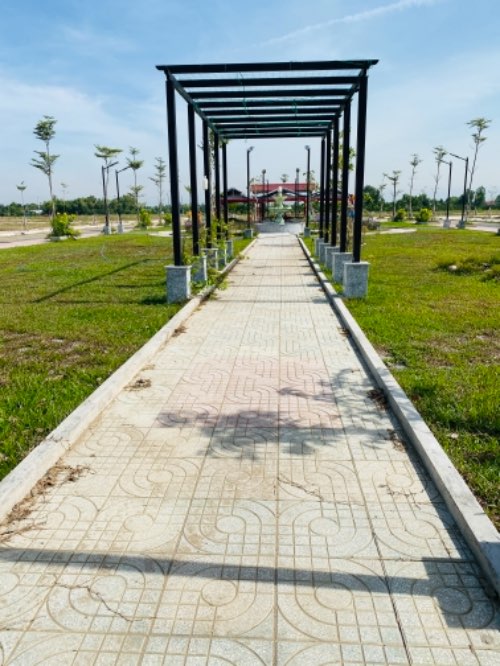 Nộp bài bố cục