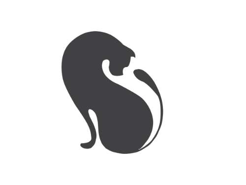 Bài tập buổi 2