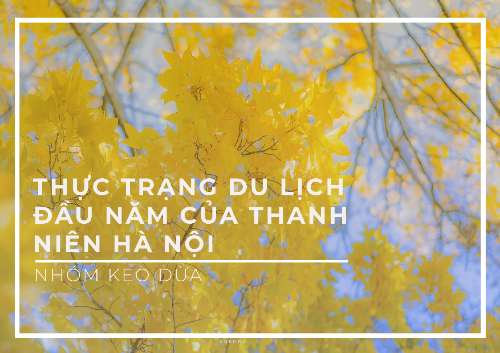 PPT cho báo cáo nghiên cứu