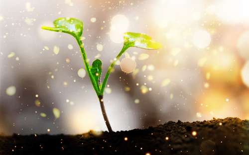 Hope