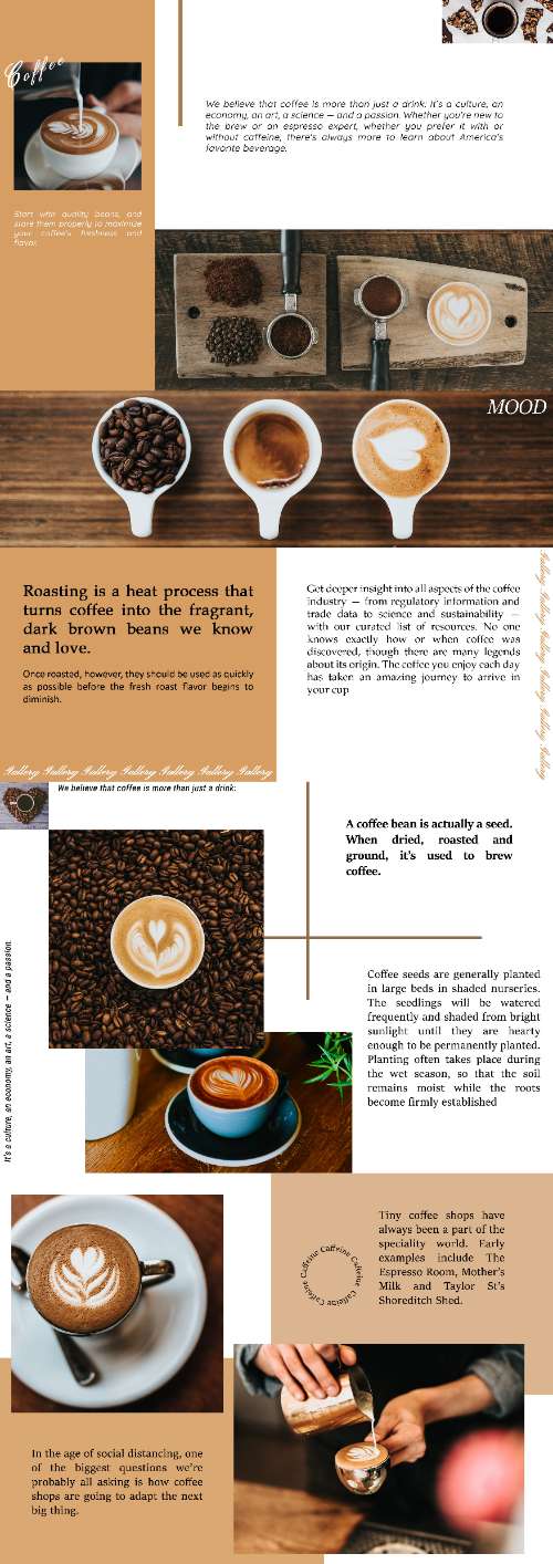 Layout coffee