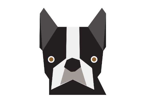 flat illustration