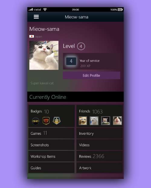 Steam ProFile