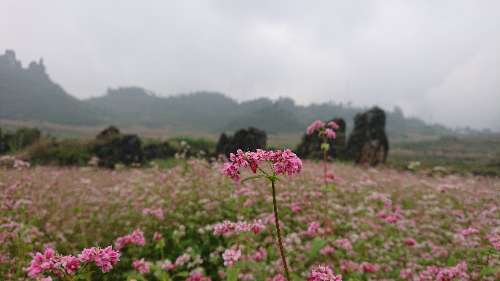HoangQuocCuong_HW2