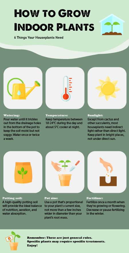 Plant InfoGraphic