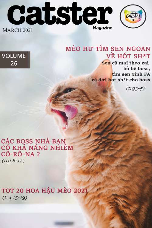 Bìa tạp chí