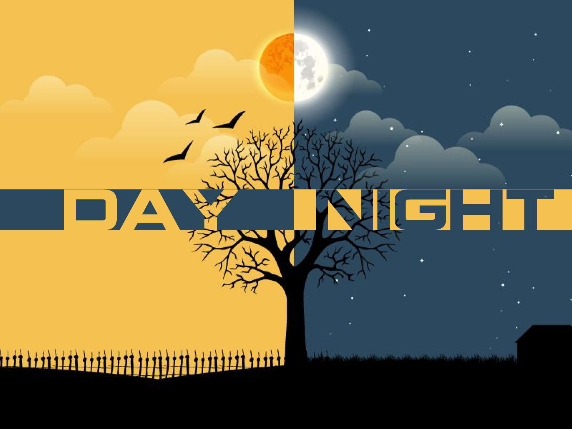 Day & Night