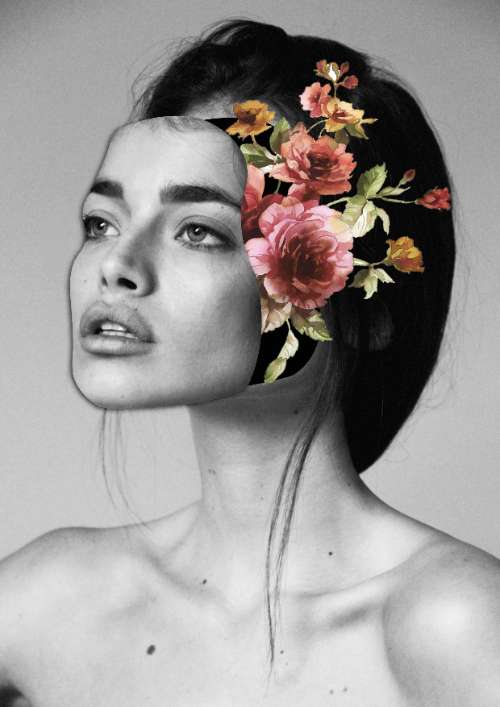 Collage 