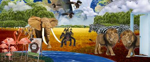animal planet