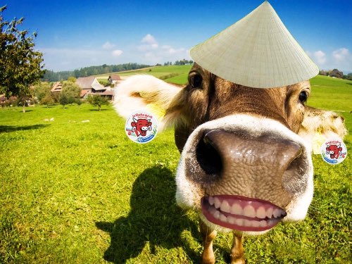 phô mai con bò cười 