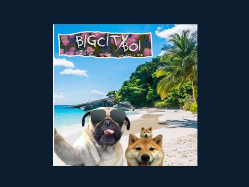 Big City Dog 