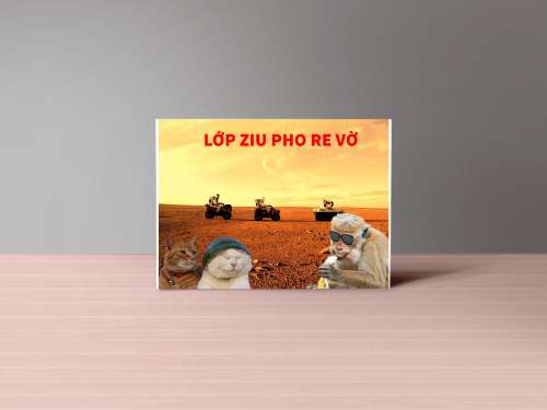 du lịch cùng anh em