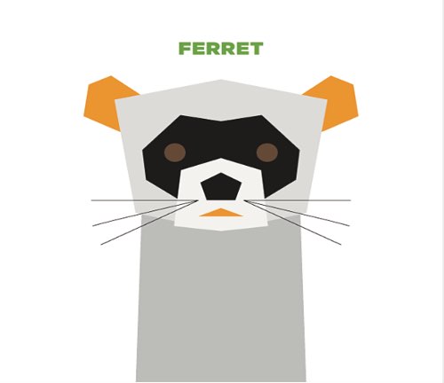 Ferret