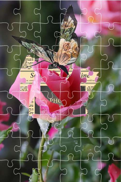 Collage Art