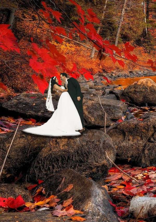 Tiny Wedding
