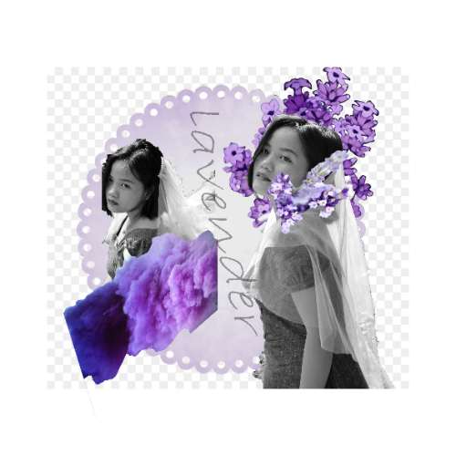 Cắt ghép ảnh Collage art