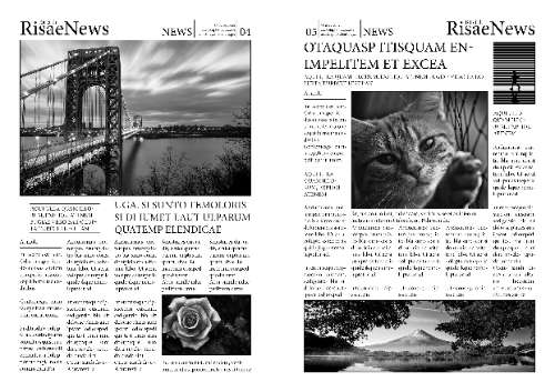 Newspaper