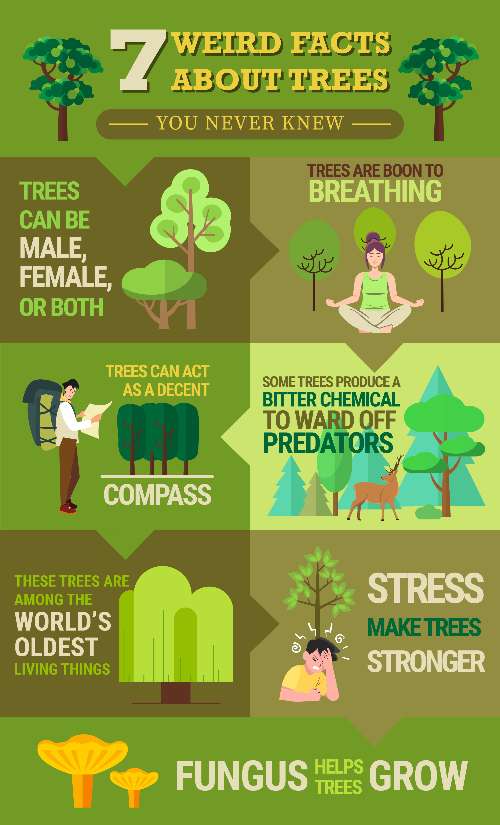 BTCK inforgraphic