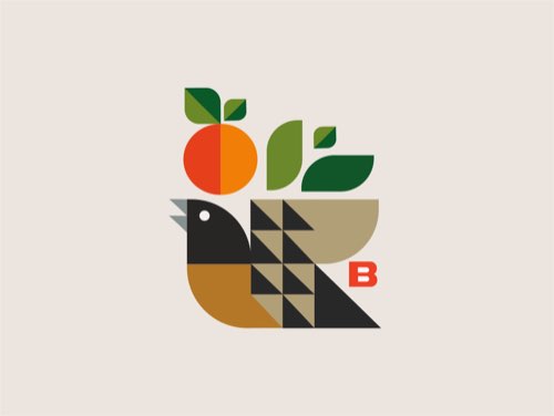 Bài tập buổi 1 