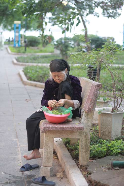 bài tập