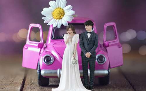 Tiny wedding