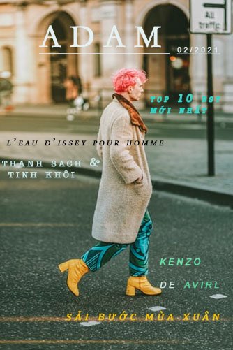 Các kiểu typeface cơ bản