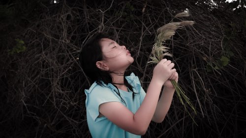 Hoàng Oanh