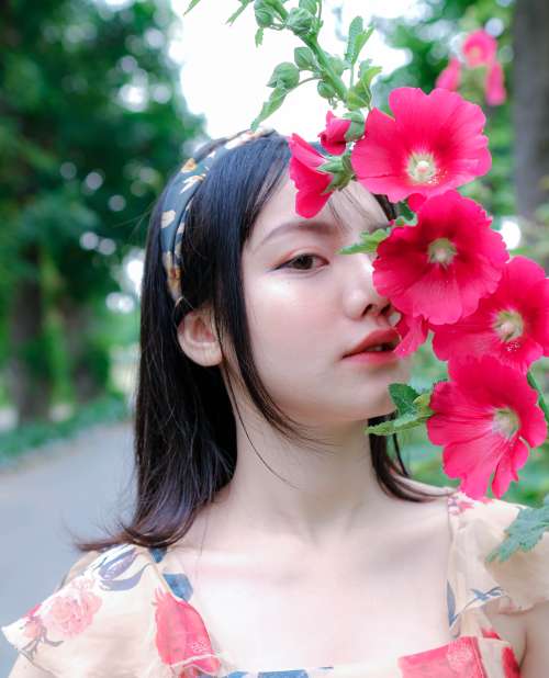 Mộng mơ chiều thứ 7