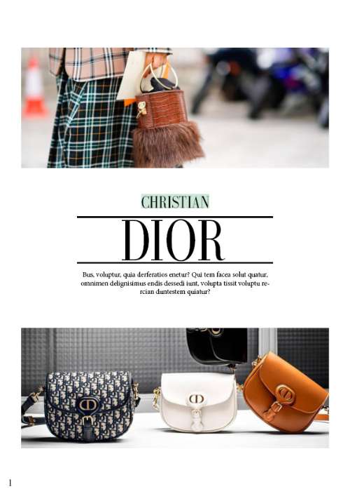 BÀI TẬP 1_DIOR