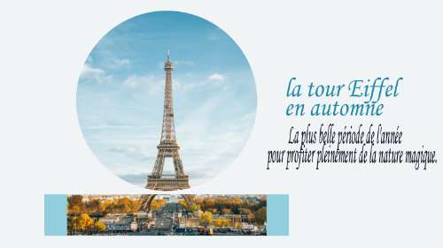 layout 4 slide