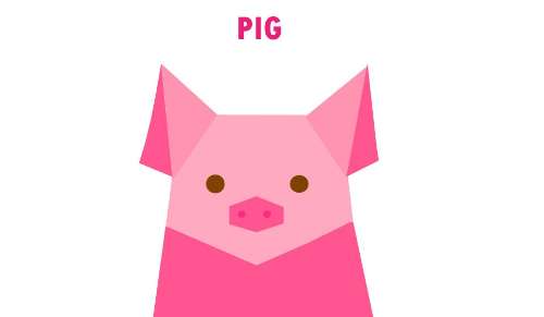 pig